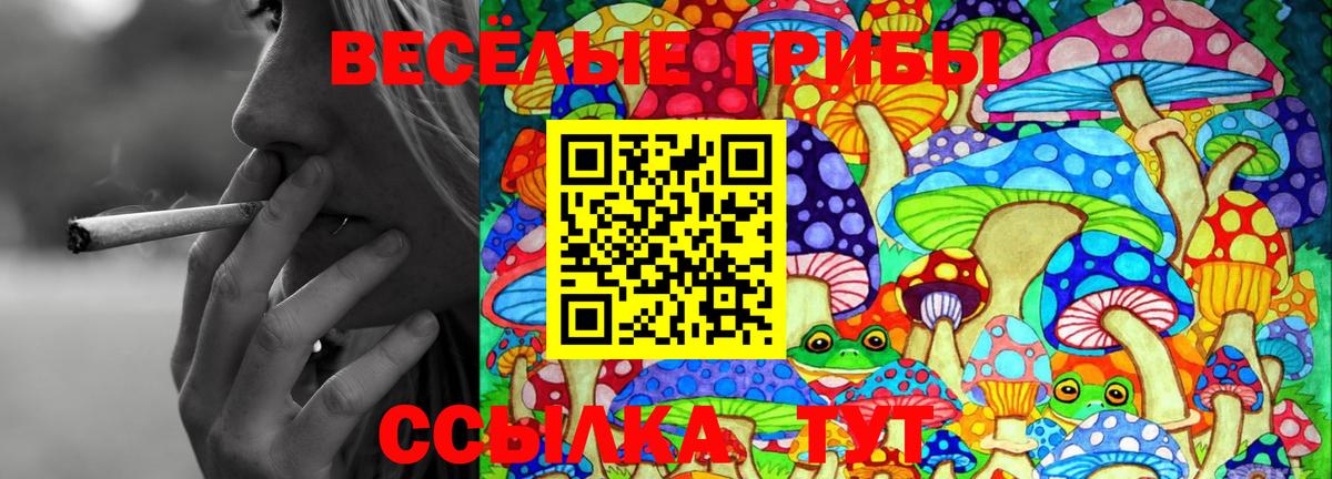 Галлюциногенные грибы мухоморы Сальск